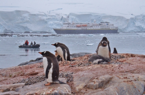 Jougla penguins, zodiac & ship (1024x673)